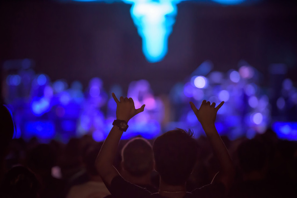 siluetas de una multitud de fanáticos animando durante un concierto en vivo
 - Foto, Imagen