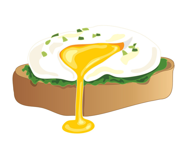 poached egg - Vector, Image