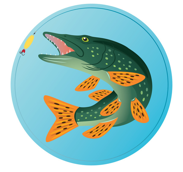 Pike fish - Vector, Image