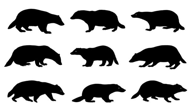badger silhouettes - Vector, Image