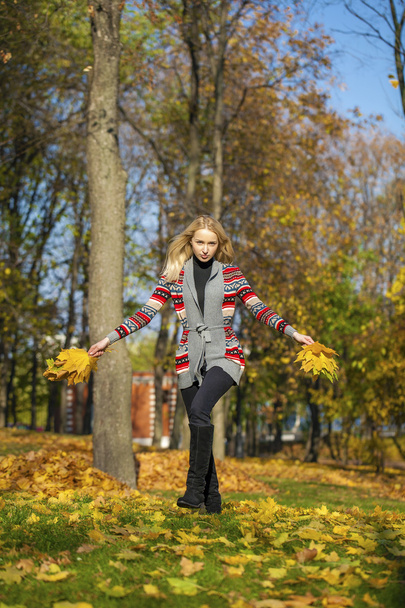Ευτυχισμένος όμορφη ξανθιά γυναίκα που περπατά στο πάρκο φθινόπωρο - Φωτογραφία, εικόνα