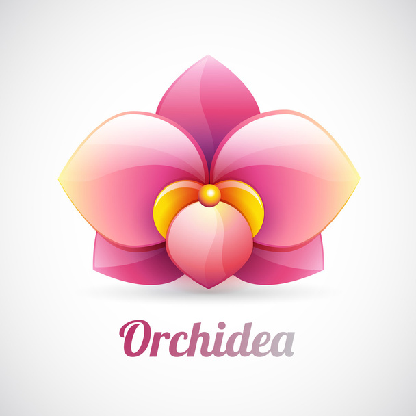 花ロゴ - ピンクの蘭の花の形 - ベクトルのアイコン上で分離 - ベクター画像