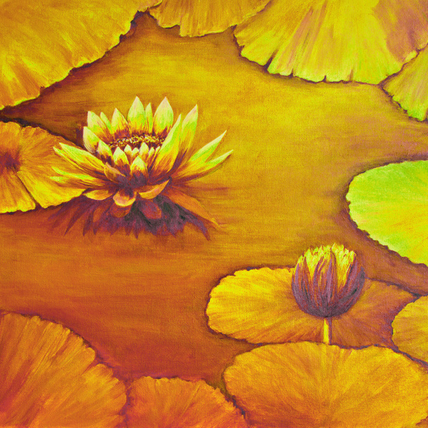 Water Lilies in Gold and Orange Colors - Photo, Image