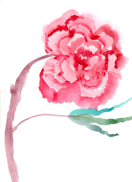 Cute floral background. Watercolor poppy - Fotoğraf, Görsel