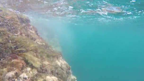 Air bubbles under water - Footage, Video
