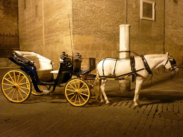 Лошадь и карета
 - Фото, изображение