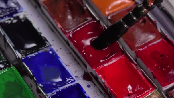 Borstel nemen aquarel in palet - Video