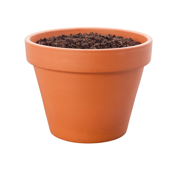 Flower Pot isolated on white {with clipping path) - Photo, Image