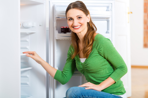 governanta com geladeira
 - Foto, Imagem