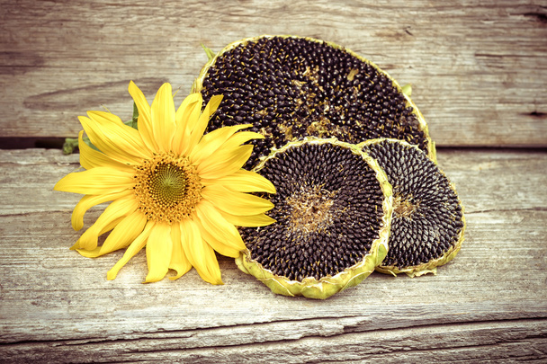 Sunflower with sunflower seeds on wooden texture - Photo, Image