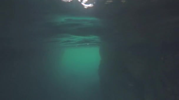 水面下の世界 - 映像、動画