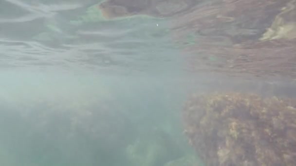 Mundo bajo el agua
 - Metraje, vídeo