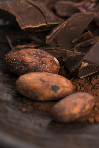 Τεμαχισμένη σοκολάτα με κακάο - Φωτογραφία, εικόνα