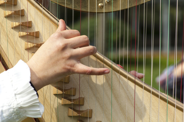 Gros plan sur le jeu de harpe
  - Photo, image