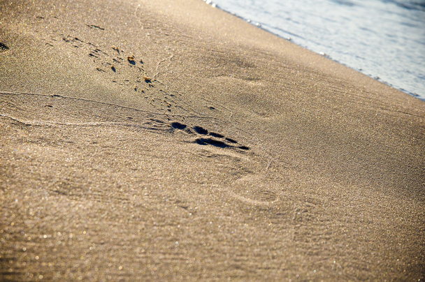 Footprint in the sand - Photo, Image