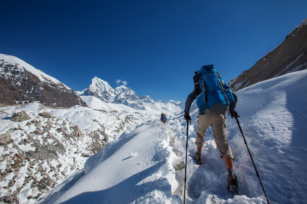 Hiker on the trek in Himalayas, Khumbu valley, Nepal - Фото, изображение