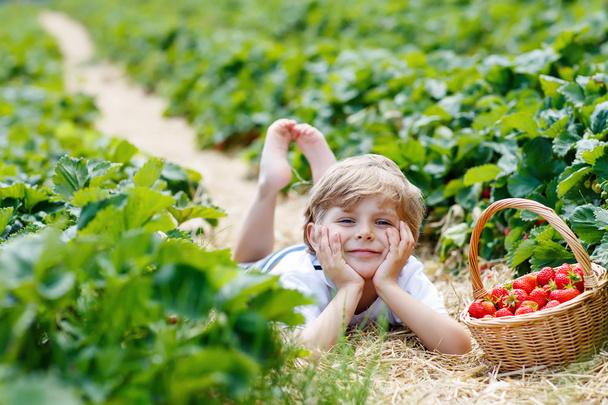 Pikkupoika poimii mansikoita maatilalla, ulkona
. - Valokuva, kuva