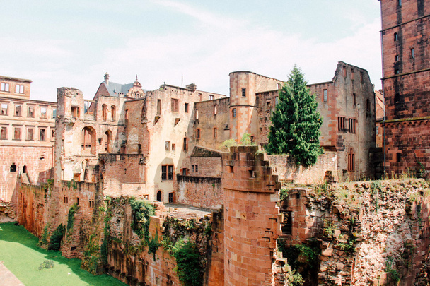 Castle ruin in Heidelberg - Photo, Image