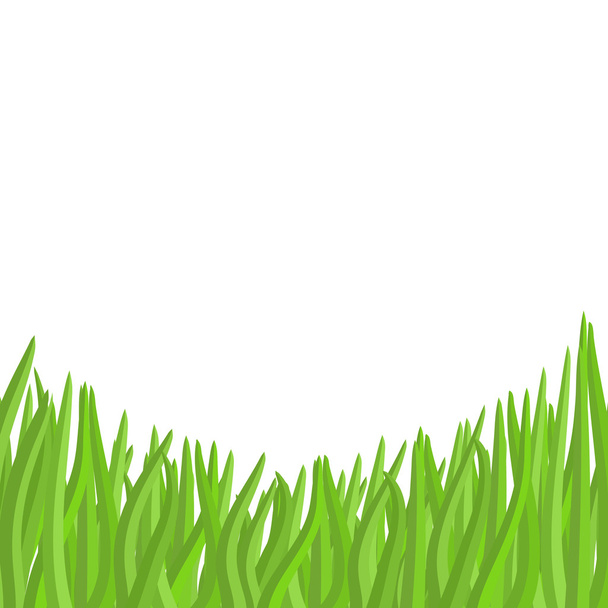 Green grass on a white background. Vector illustration garden. - Vector, imagen