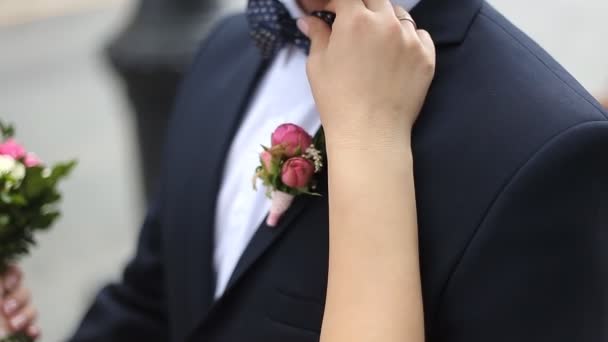 Hochzeitspaar hält Händchen - Filmmaterial, Video