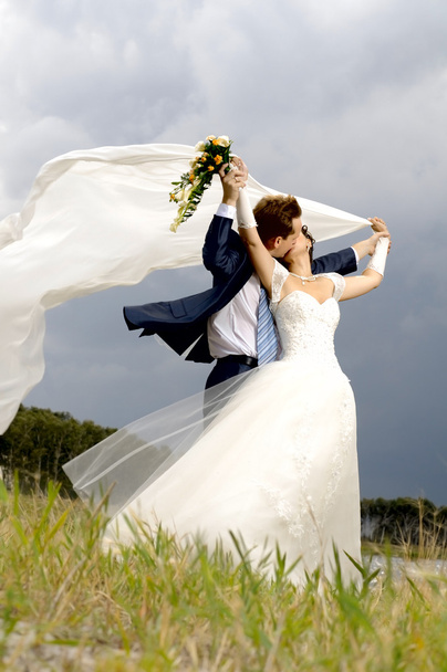Wedding - Foto, Imagen