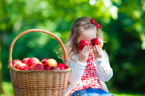 Little girl picking apples  - Φωτογραφία, εικόνα