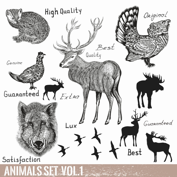 Set of vector hand drawn detailed  forest animals - Vektor, Bild