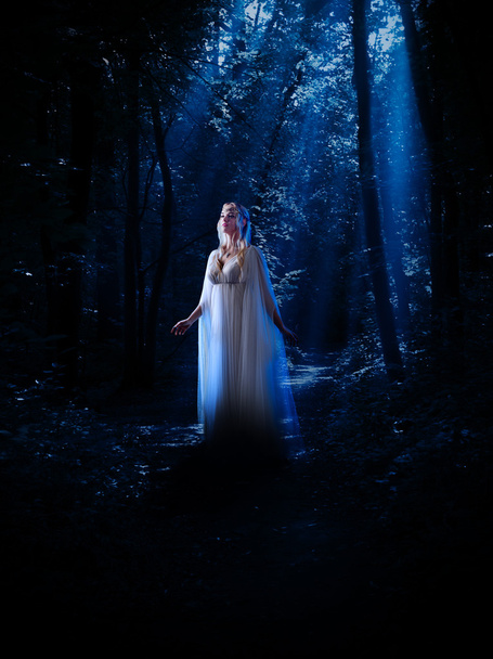 Elven girl in night forest - Fotoğraf, Görsel