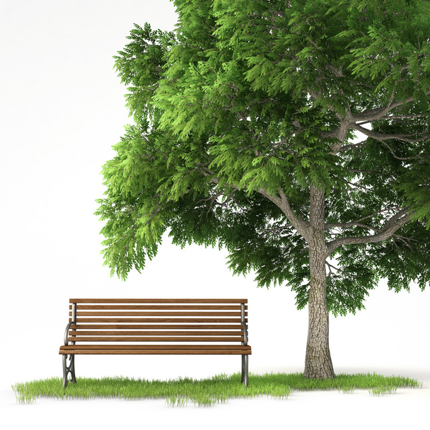 na białym tle ławce pod drzewem - Zdjęcie, obraz