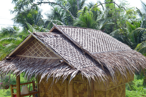 Thatched roof - Photo, Image