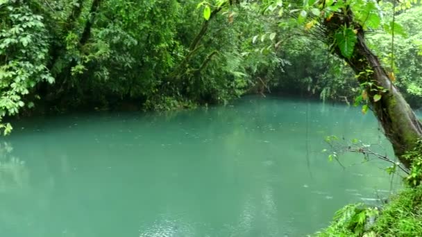 Kék folyó patak lagúna esőerdők dzsungel nemzeti parkok Costa Rica - Felvétel, videó