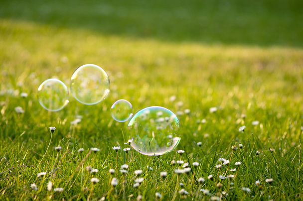 Bolhas de sabão na grama
 - Foto, Imagem