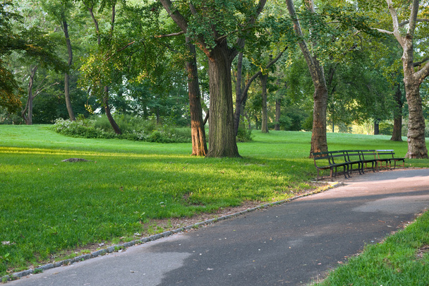 az új-York-i central park-ban sétány - Fotó, kép