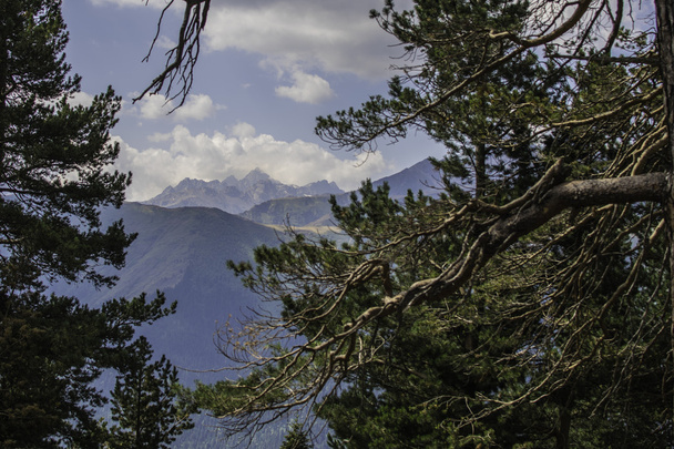 Vista en la montaña de Sofía detrás de los árboles (Cáucaso Norte, Rusia
) - Foto, imagen