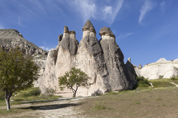 Каппадокия, Турция. Камень выветривания Долина монахов (Долина Pashabag
) - Фото, изображение