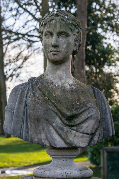 Busto romano
 - Foto, Imagen