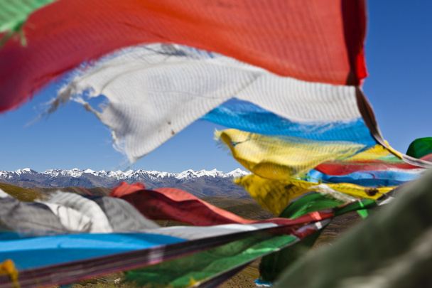 Tibet: tibetan prayer flags - Photo, Image