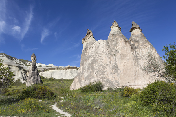Kapadocja, Turcja. Rock, wietrzenia mnichów Valley (Dolina Pashabag) - Zdjęcie, obraz