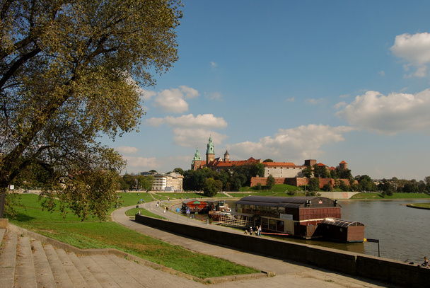 Вавельський замок у Кракові, на полі, на євро. - Фото, зображення