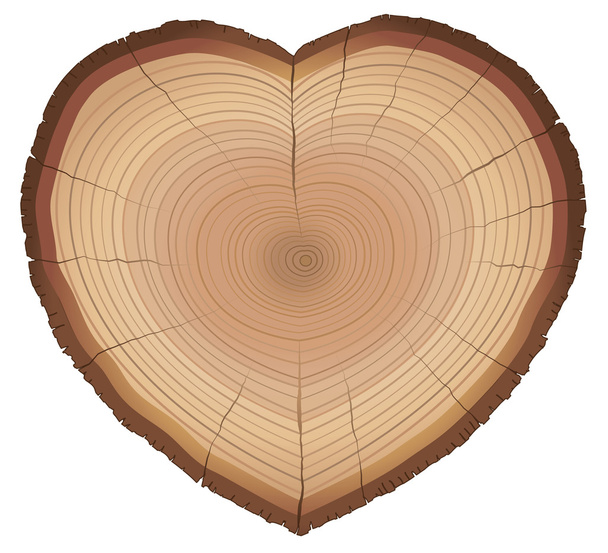 Liebe Natur Holz Ringe Herz geformtes Symbol - Vektor, Bild