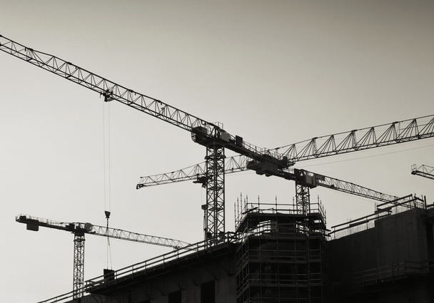 cranes in Berlin - Φωτογραφία, εικόνα