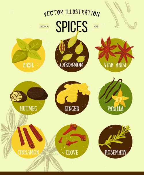 Colorful set of spices in flat style. Vector set of kitchen spices and herbs collection of stylized icons.  - Vector, Image