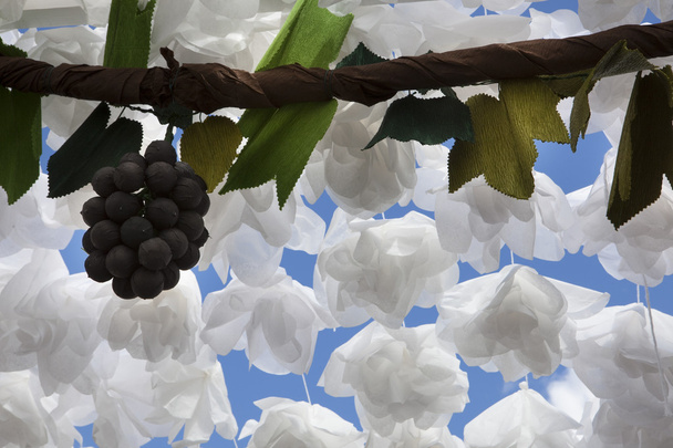Paper grapes, Campo Maior, Portugal - Photo, Image