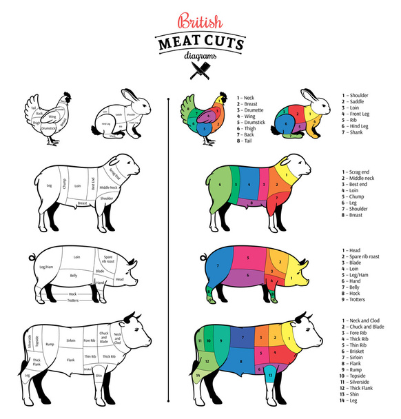 Diagrammes de coupes de viande britanniques
 - Vecteur, image