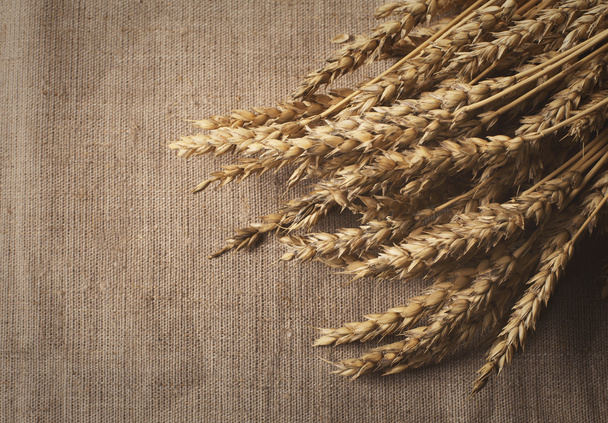 wheat on the jute background - Foto, afbeelding