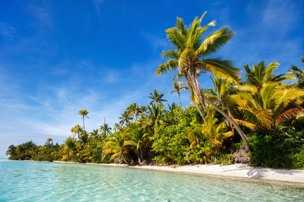 atemberaubender tropischer Strand auf exotischer Insel im Pazifik - Foto, Bild