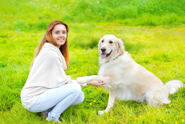 Собака по кличке Золотой ретривер дарит хозяину лапу на траве
 - Фото, изображение