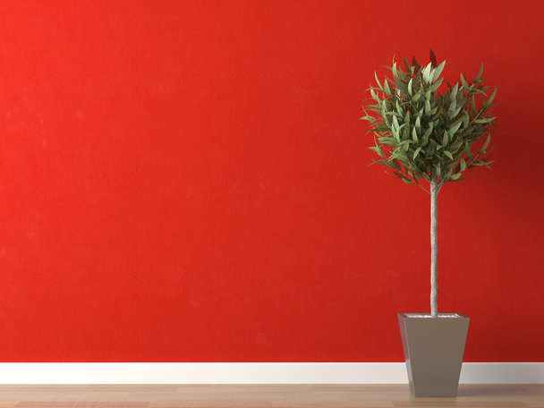Yksityiskohta kasvi punaisella seinällä
 - Valokuva, kuva