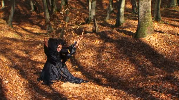 Woman In Black Playing With Leaves In Autumn Forest - Footage, Video