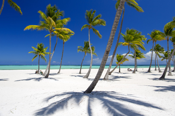 Пляж на тропічному острові
 - Фото, зображення